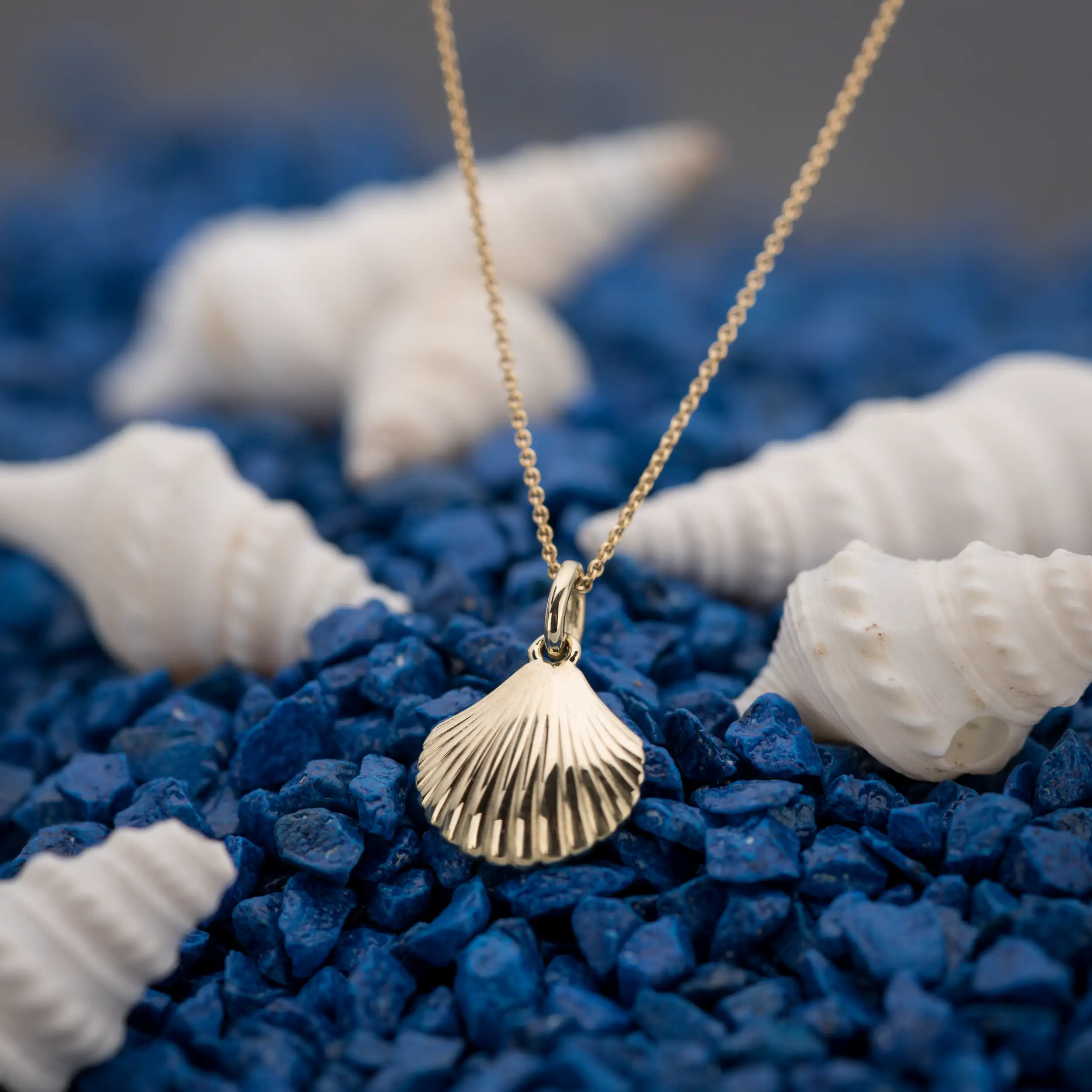 Gold Anhänger Muschel - Symbole