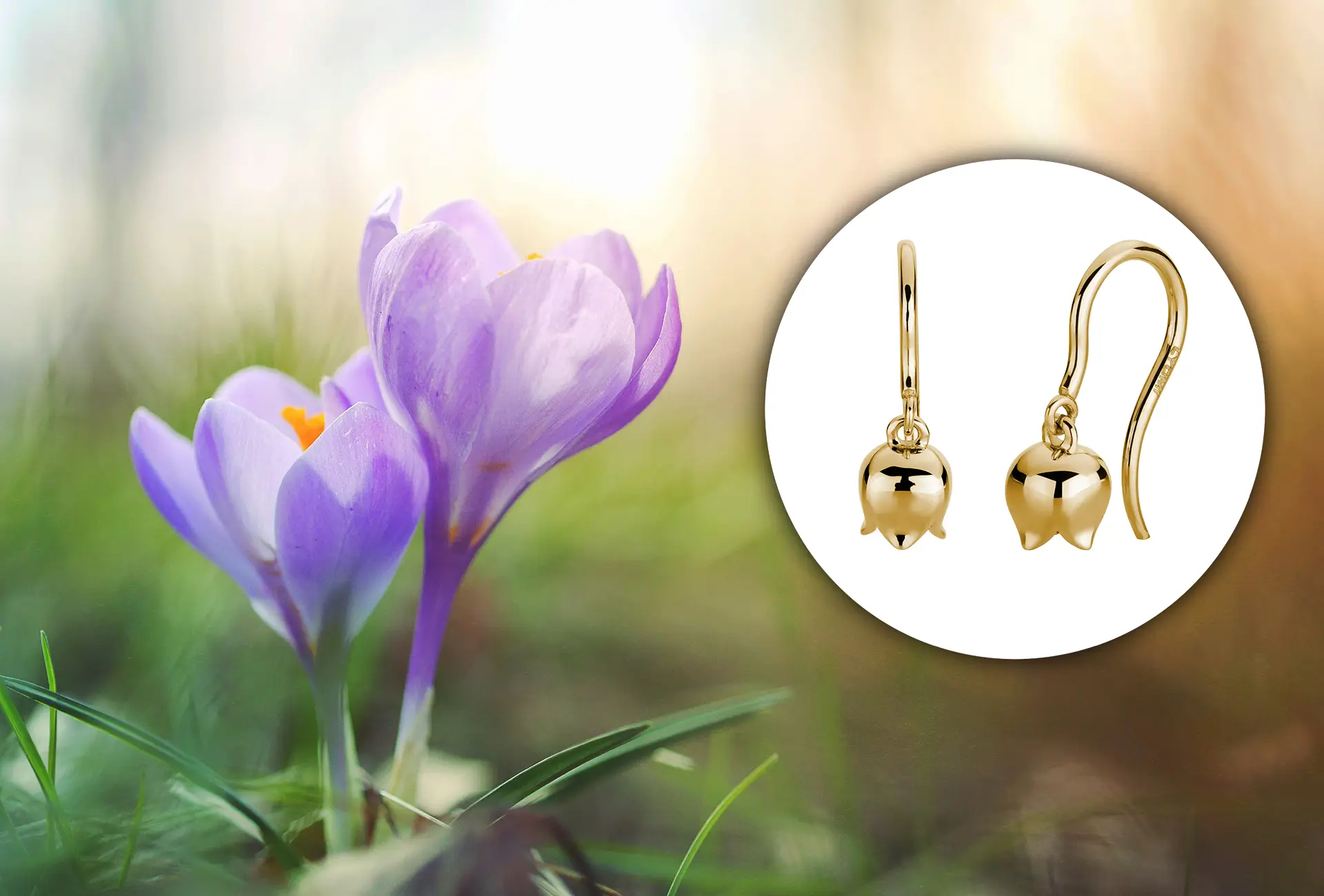 Frühlingserwachen: Die Magie eines Neuanfangs