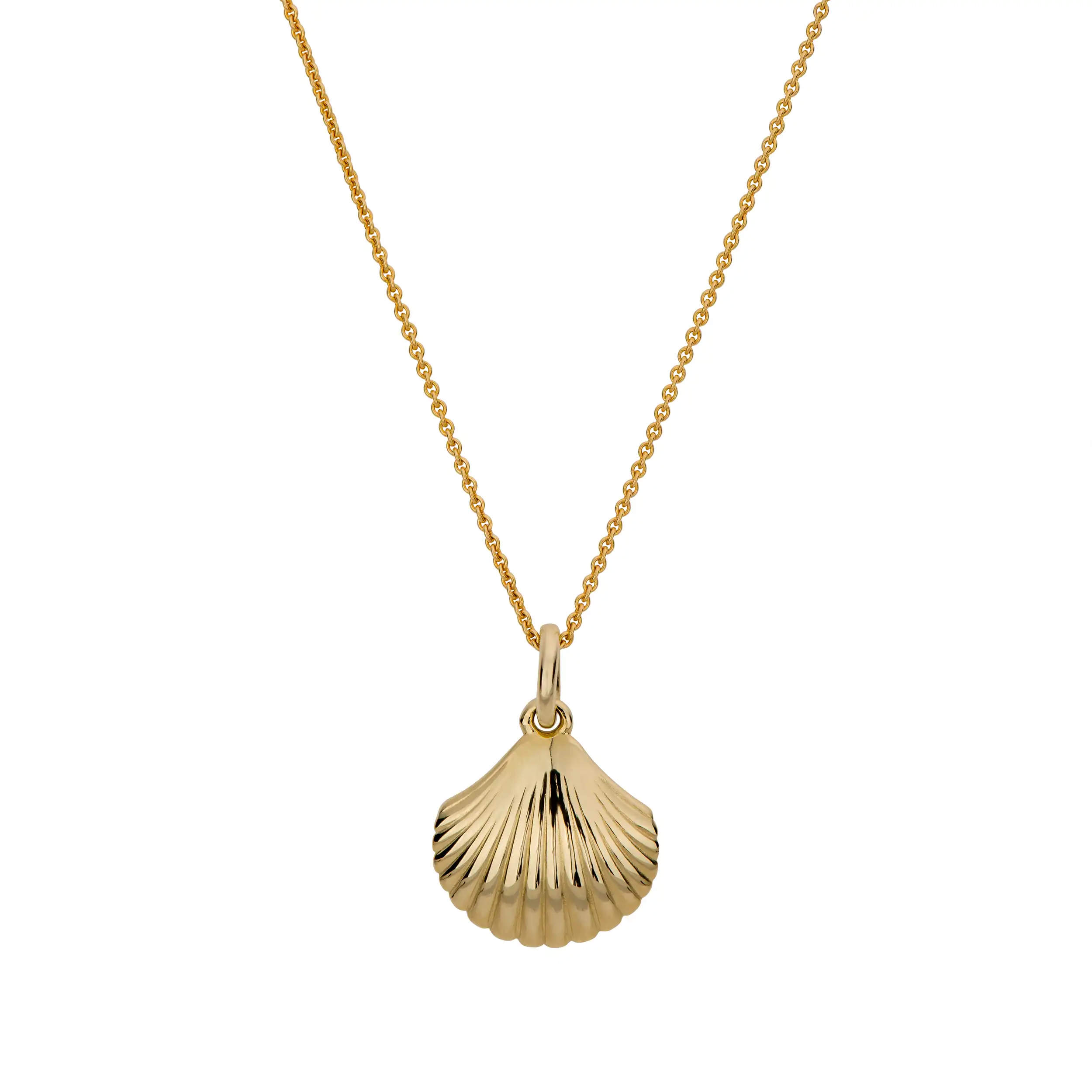 Gold Anhänger Muschel - Symbole